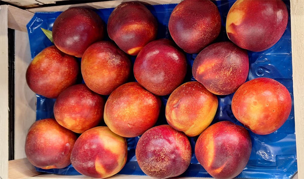 Nettarine cal. 16 - Romagna - 2,50 euro al chilogrammo